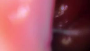 Teenie inside Giantess as she has Affair with a fellow giant POV 4k