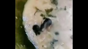 Mikey fudendo gostoso