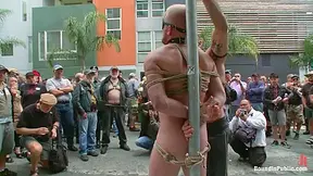 Dore Alley Pig