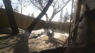 Smoking Ciggy Outside