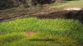 Radiant #2 - Johannes and the ladies had brecfast together... Johannes fucked the waiter in the bathroom