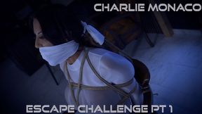 Charlie Monaco - Escape Challenge *By Night* MP4 HD ( Wrap Gagged , Bound Gagged , Rope Bondage , Tied Up Gagged , Bondage , BDSM , Escape Challenge , OTM Gag , Duct Tape Wrap Gag , Hairtie , Chairtied , Struggling , Charlie Monaco )