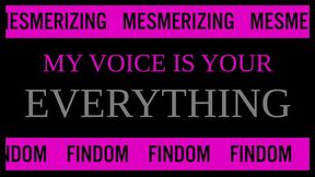 My Voice is Your Everything
