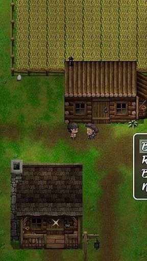 Peasant's Quest