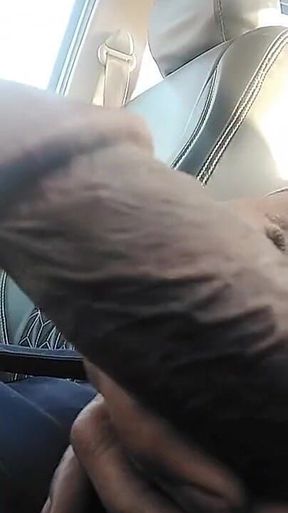 Indian Cock
