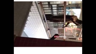 Some displays of kriss hotwife in public places