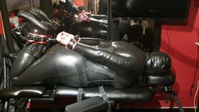 Rubber Hog Tie