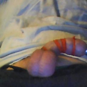 Tail and balls tied with rubber bands and foreskin inflated with air