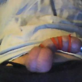 Tail and balls tied with rubber bands and foreskin inflated with air