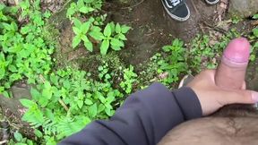 Fucked a Tourist at the Waterfall