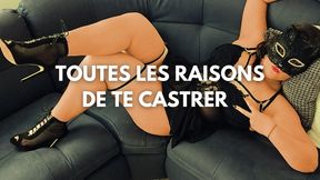 Toutes les raisons de te castrer