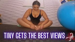 Tiny Gets the Best Views (wmv)