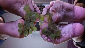 Fruit stomp on glass - Lorena & Ruby