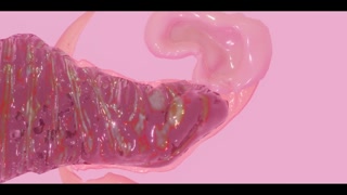 Infestation: Theatrical release