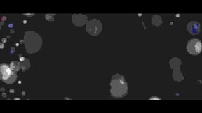 Futa Harley Quinn`s Wild Ride: An Unforgettable Experience