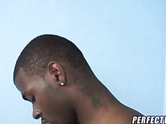 Suck that big black dick!