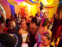 Loads of wet cracks perky milk sacks during orgy party