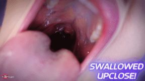 Swallowed Upclose! Ft Terra Mizu - HD MP4 1080p Format