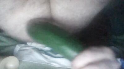 Anal cucumber