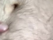 Gay Chub Lint Rolling | ATROPHYBODY