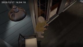 Japanese femboy gets wrecked in VRChat exposure blowjob