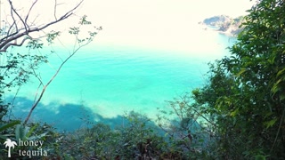 Vacation Jungle Sex - Horny Couple Fuck On Hiking Trail And Almost Get Caught