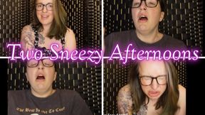 Two Sneezy Afternoons