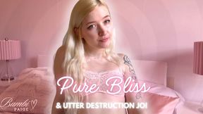 Pure Bliss & Utter Destruction