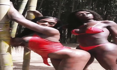 black shemale transsexual on tranny