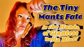 Fate of the Mant is in Giantess Hands