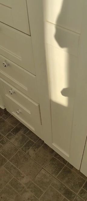 See through the shadows