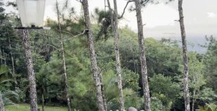 Having orgasm with the view