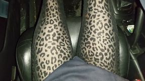 Sarah - Evening Car Struggle In Public Parking Lot