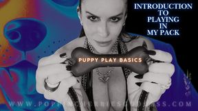 Puppy Play Basics - Introduction to Playing in My Pack