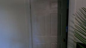 Lolla swallows a fan