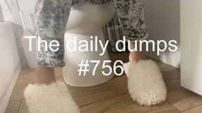 The daily dumps #756 mp4