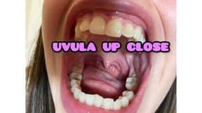 uvula up close