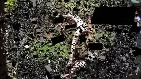 Farm Fantasy Trampling Adventure: Boots Crush Dirt While Riding Cocks Hard