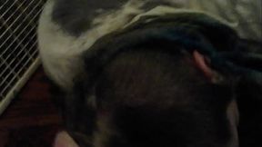 Saffy To Lick Up Squirt