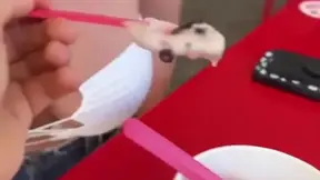 Steamy blonde Kali Roses gets in some hot POV action during a romantic date night