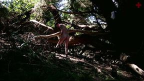 Masturbating in the forest - VOYEUR