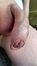 Quite sunset fat flaccid soft uncut cock soft to hard throbbing to soft