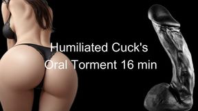 Humiliated Cuck's Oral Torment 16 min