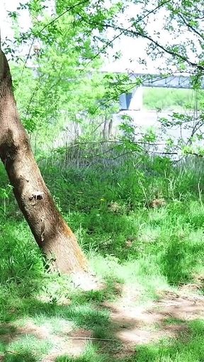 Caught Sucking in the Woods - Unexpected Threeway with a Stranger