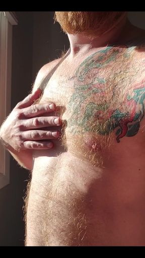 The Morning Sunlight