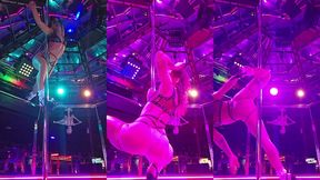 tampa stripper on stage dakota marr at mons venus