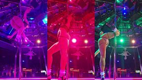 tampa stripper on stage dakota marr at mons venus