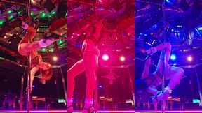 tampa stripper on stage dakota marr at mons venus