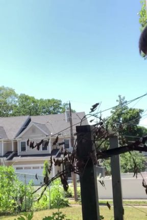 sexy gardening starring Alexandria Wu