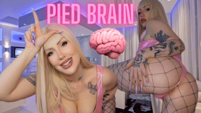 P.I.E.D. Brain- Only Porn Turns You On